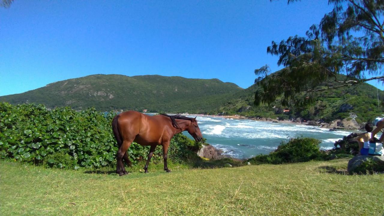 Chale Praia Da Armacao Florianopolis Exterior photo